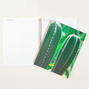 Agenda Hojas de la planta de cactus verde jugoso