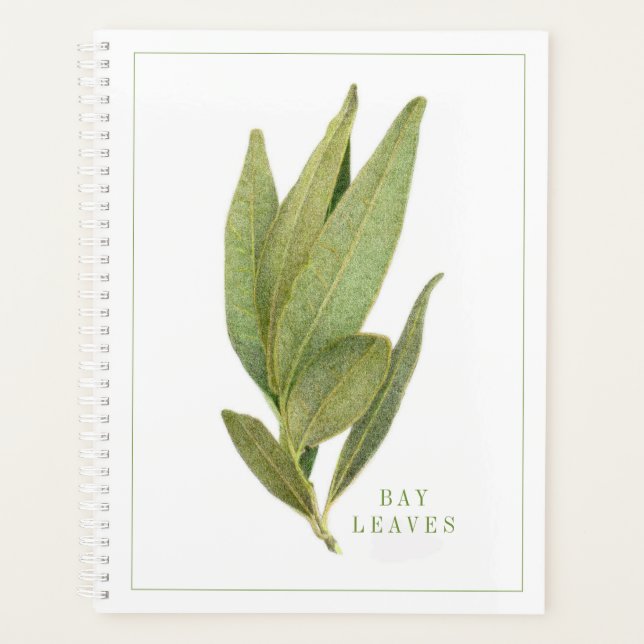 Agenda HOJAS FRESH BAY 8.5x11 Planner / Calendario (Anverso)