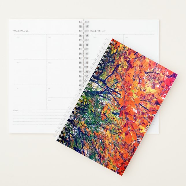 Agenda Hojas verdes, amarillas y naranjas (Demostración)