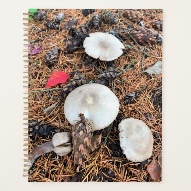 Agenda Hongos y pieles (Anverso)