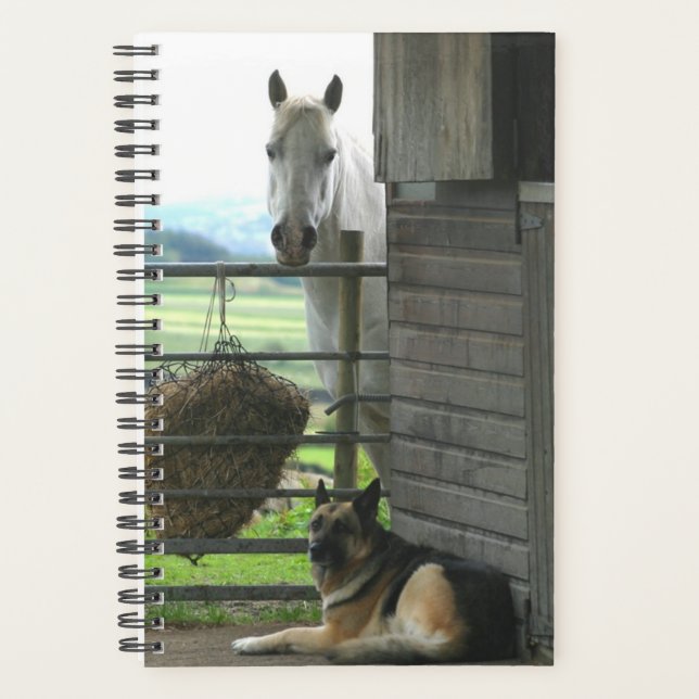 Agenda Horse Photo Equine Horse Dog (Anverso)
