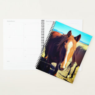 Agenda Horse Planner