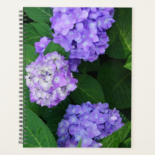 Agenda Hortensia Lavanda (Anverso)