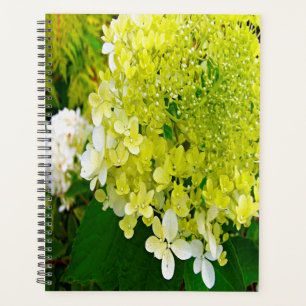 Agenda Hortensia Limelight Verde Chartreuse Elegante