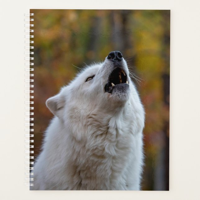 Agenda Howling Wolf Planner 2024 (Anverso)