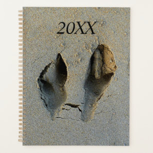 Agenda Huellas de Wallaby en arena