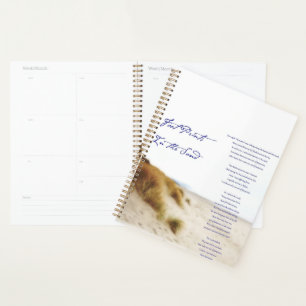 Agenda huellas en la arena