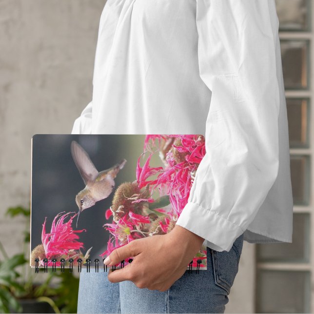 Agenda Hummingbird en la foto del vuelo (In Situ)