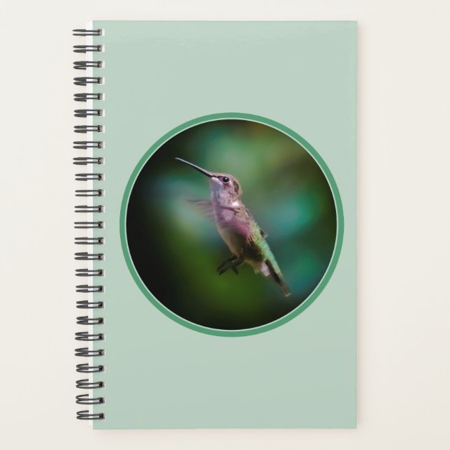 Agenda Hummingbird - Fotografía original (Anverso)