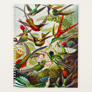 Agenda Hummingbirds por Ernst Haeckel