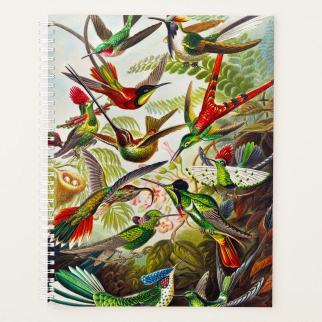 Agenda Hummingbirds por Ernst Haeckel (Anverso)