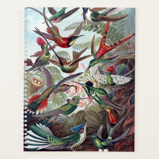 Agenda Hummingbirds vintage (Anverso)