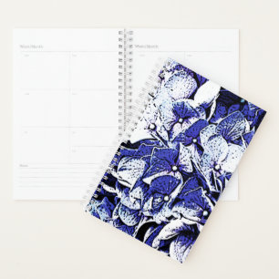 Agenda Hydrangea