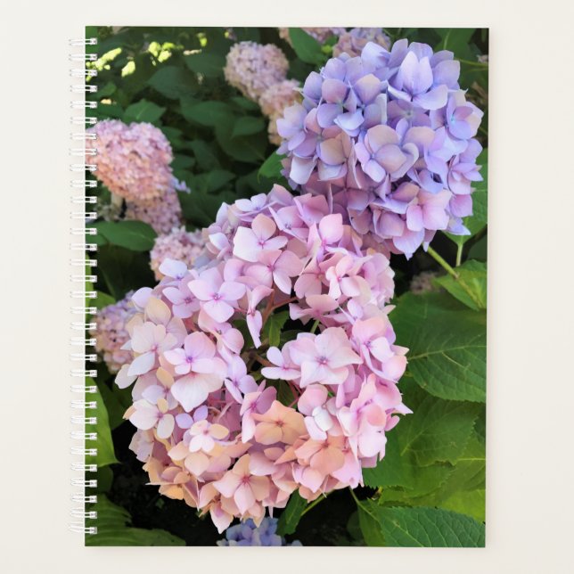 Agenda Hydrangeas (Anverso)