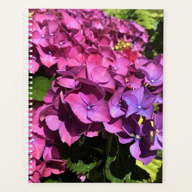 Agenda Hydrangeas (Anverso)