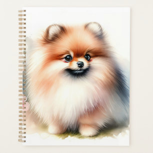 Agenda Ilustracion cutáneo de pomerania