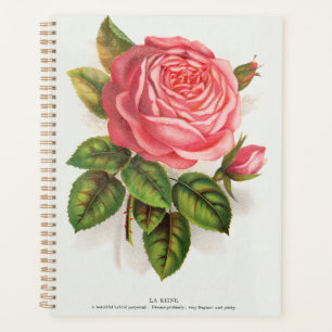 Agenda Ilustración floral de rosa rosa antigua Cottagecor