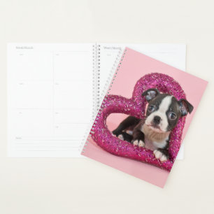 Agenda Imágenes de Getty   Amor de los cachorros