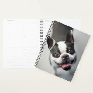 Agenda Imágenes de Getty Bulldog francés