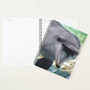 Agenda Imágenes de Getty Delfín