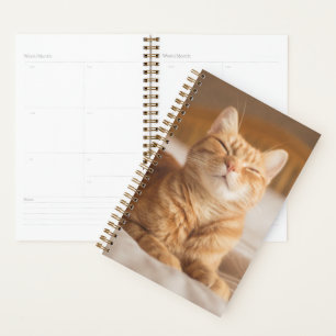 Agenda Imágenes de Getty Gato somnoliento