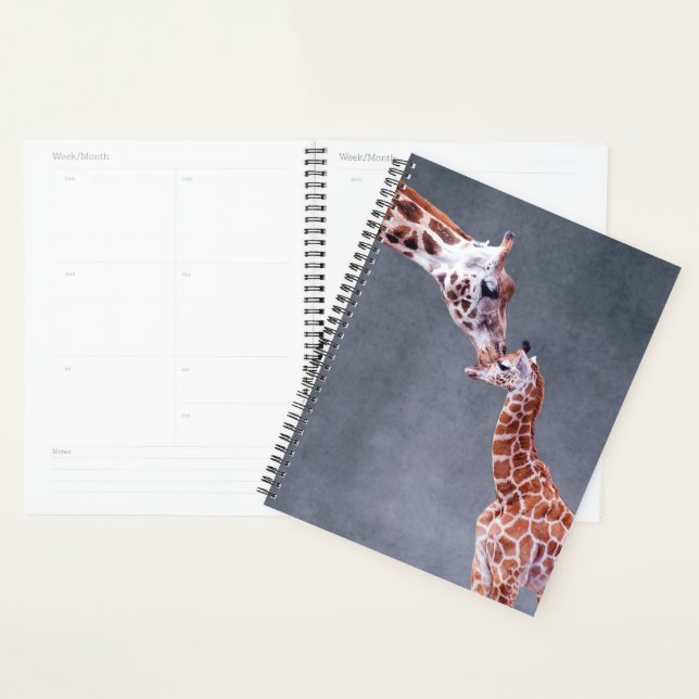 Agenda Imágenes de Getty | Madre y bebé Giraffe (Demostración)