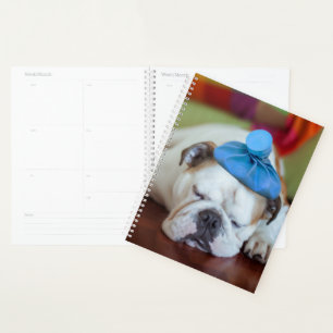 Agenda Imágenes de Getty   Mal cachorro joven