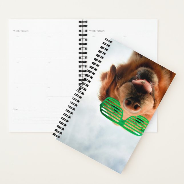 Agenda Imágenes de Getty | Perro con gafas (Demostración)
