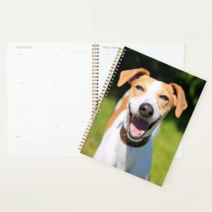 Agenda Imágenes de Getty   Perro riéndose
