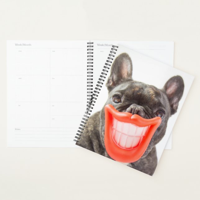 Agenda Imágenes de Getty | Un Perro Sonriente (Demostración)