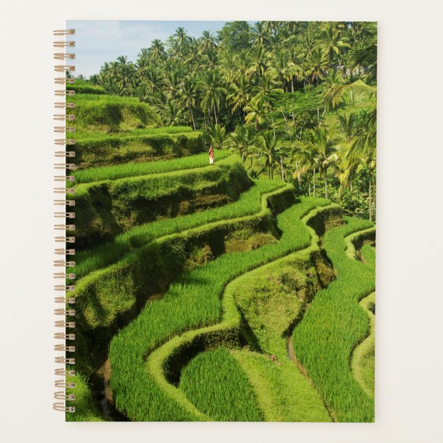 Agenda Indonesia, Bali | Arrozales (Anverso)