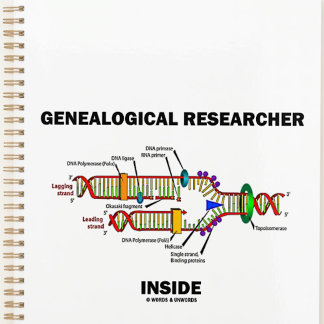 Agenda Investigador genealógico dentro de la replicación