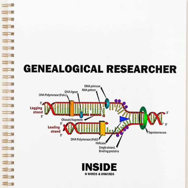 Agenda Investigador genealógico dentro de la replicación  (DNA attitude planner for any genealogist or anyone engaged in genealogical research)