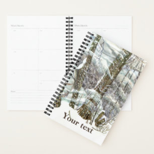 Agenda Invierno