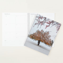 Agenda Invierno en otoño