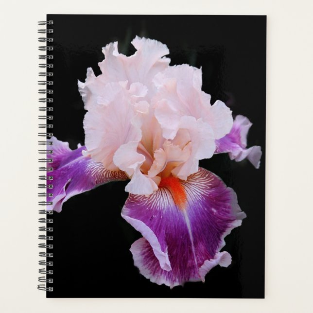 Agenda Iris (Anverso)