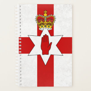 Agenda Irlanda del Norte