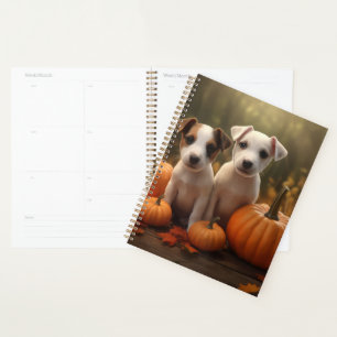 Agenda Jack Russell Puppy Autumn Delight Pumpkin