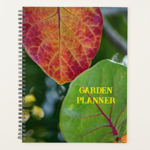 Agenda Jardín de hojas de uva de mar