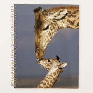 Agenda Jirafa besando a una jirafa bebé