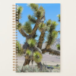 Agenda Joshua Tree en California