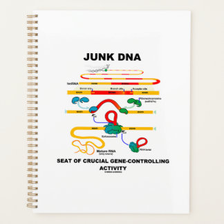 Agenda Junk DNA Seat Of Crucial Gene-Controlling Activity