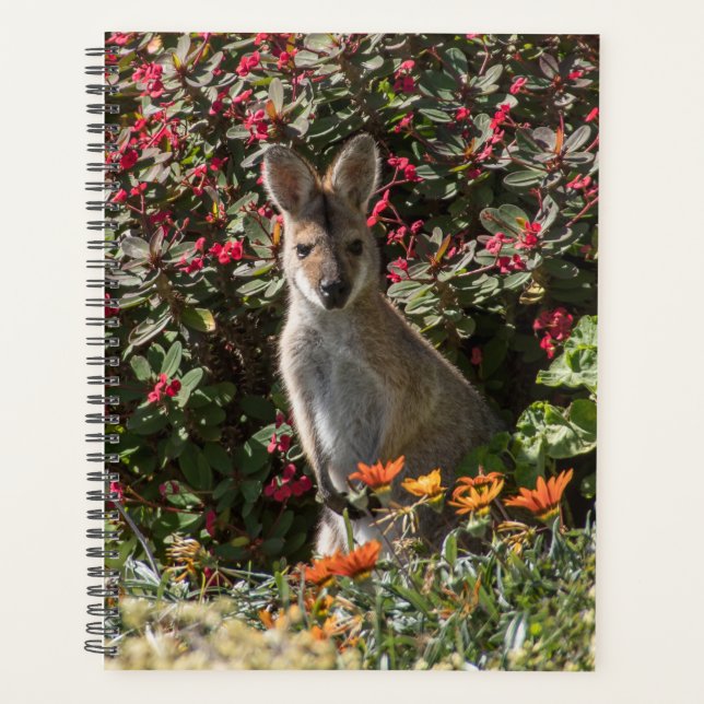 Agenda Kangaroo (Anverso)
