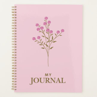 Agenda Kaye y verano