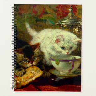 Agenda Kittens Tea Fiesta