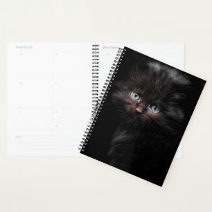Agenda Kitty negro