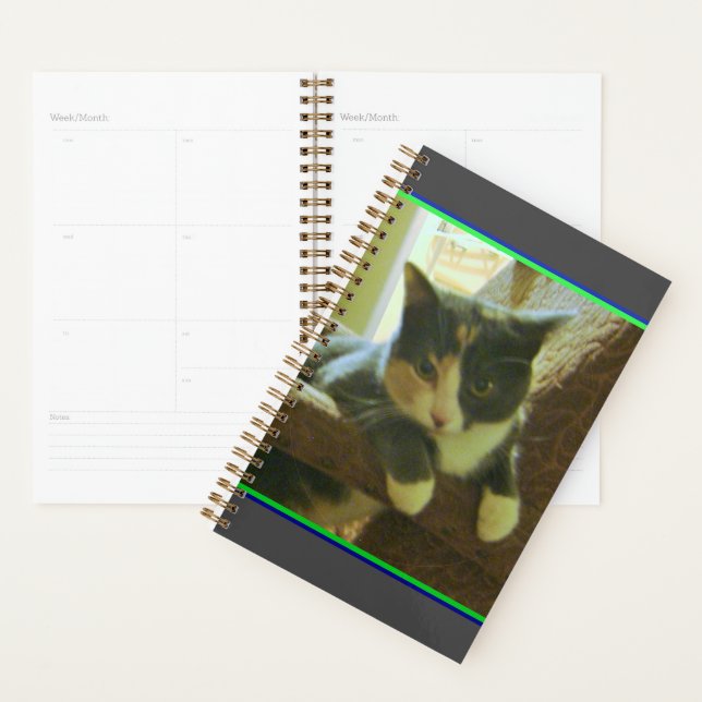 Agenda Kitty Planner (Demostración)