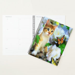 Agenda Kitty y Butterflies