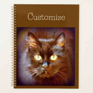Agenda kittycat