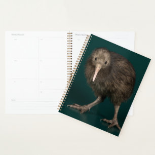 Agenda Kiwi Brown, Isla del Norte